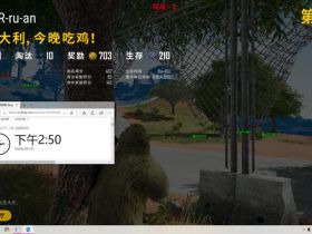 绝地求生辅助-大司马辅助