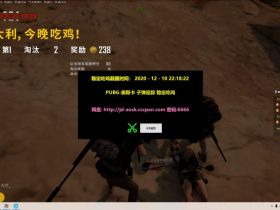 绝地求生pc版-奥斯卡辅助