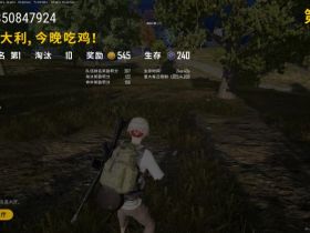 绝地求生辅助-UI辅助