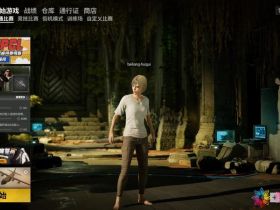 绝地求生亚服下载—不当人辅助
