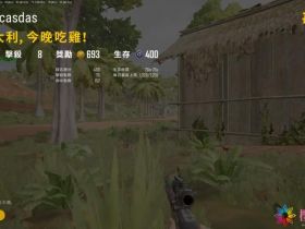 绝地求生手游版*平底锅辅助