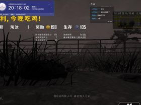 绝地求生辅助代理