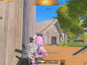 和平精英啊丽塔辅助