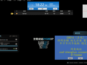 使命召唤16辅助