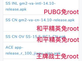 王者荣耀辅助软件_PEAK