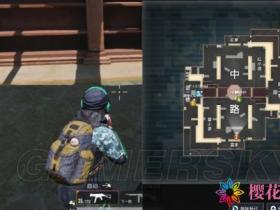 和平精英电脑版下载*和平精英教你怎样玩转武备团竞下的图书馆