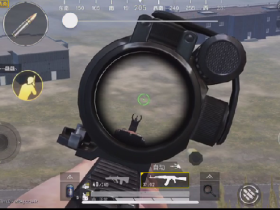 和平精英老司机辅助