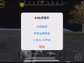 和平精英黑曼巴辅助