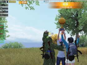 和平精英喜羊羊辅助