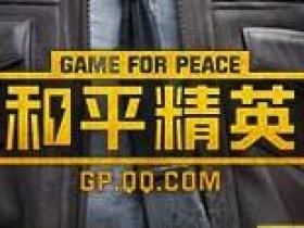 和平精英麻雀辅助