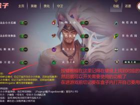 LOL辅助 换肤盒子(不封号)