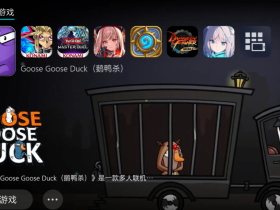 鹅鸭杀-辅助发卡网